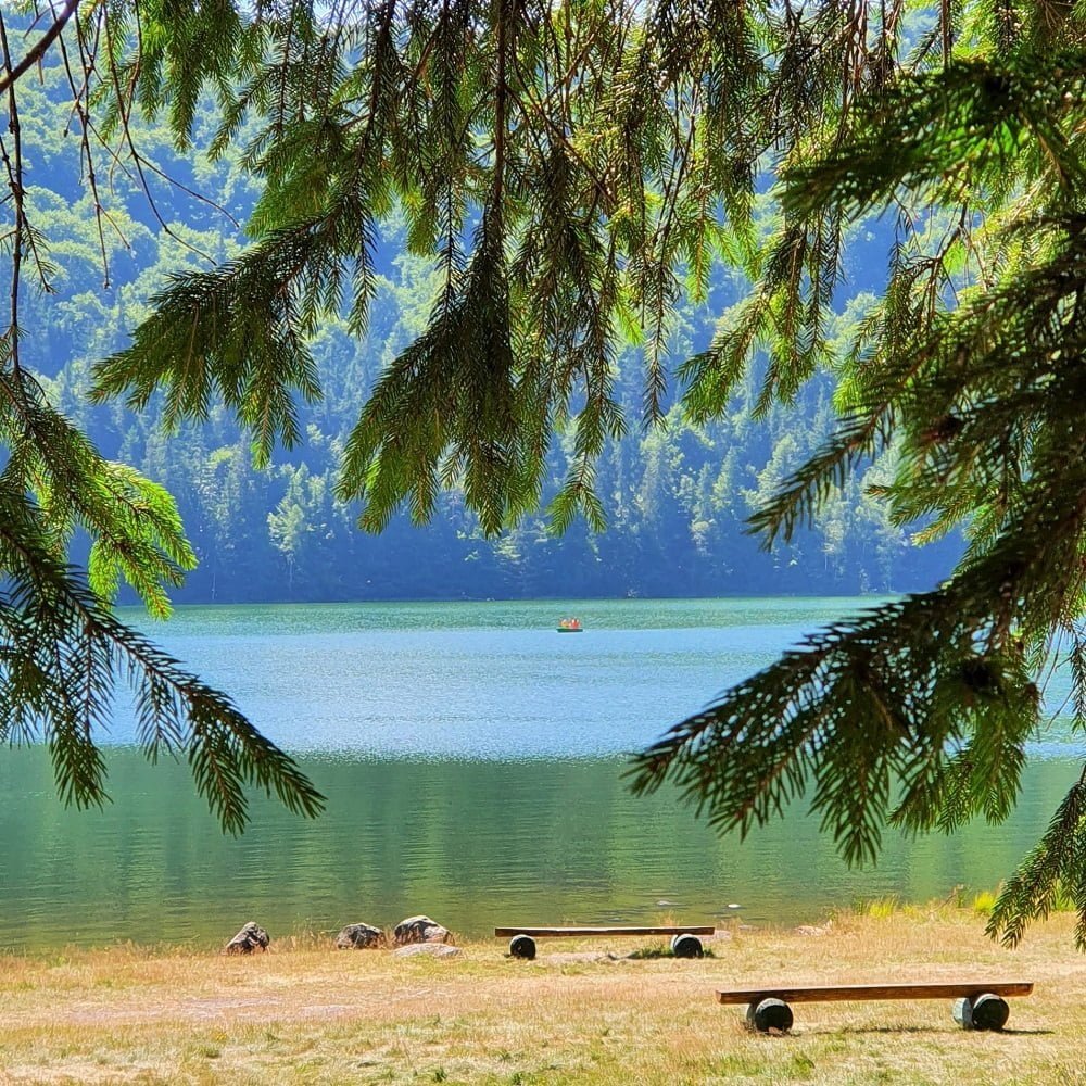 piersică Este Agregat  Lacul Sfânta Ana - Regulament NOU de vizitare 23