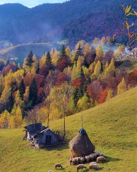 satul Peștera - Obiective turistice județul Brașov
