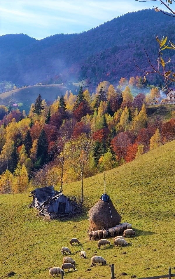 satul Peștera - Obiective turistice județul Brașov
