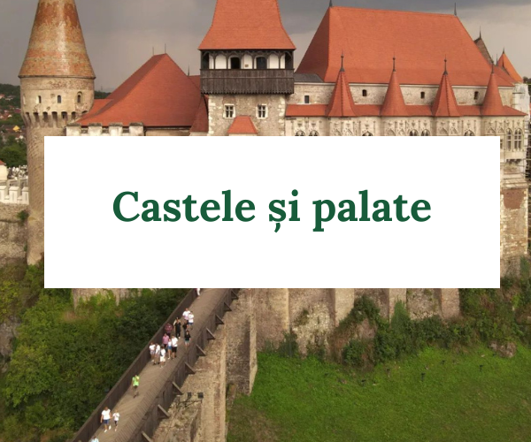 Castele și Palate